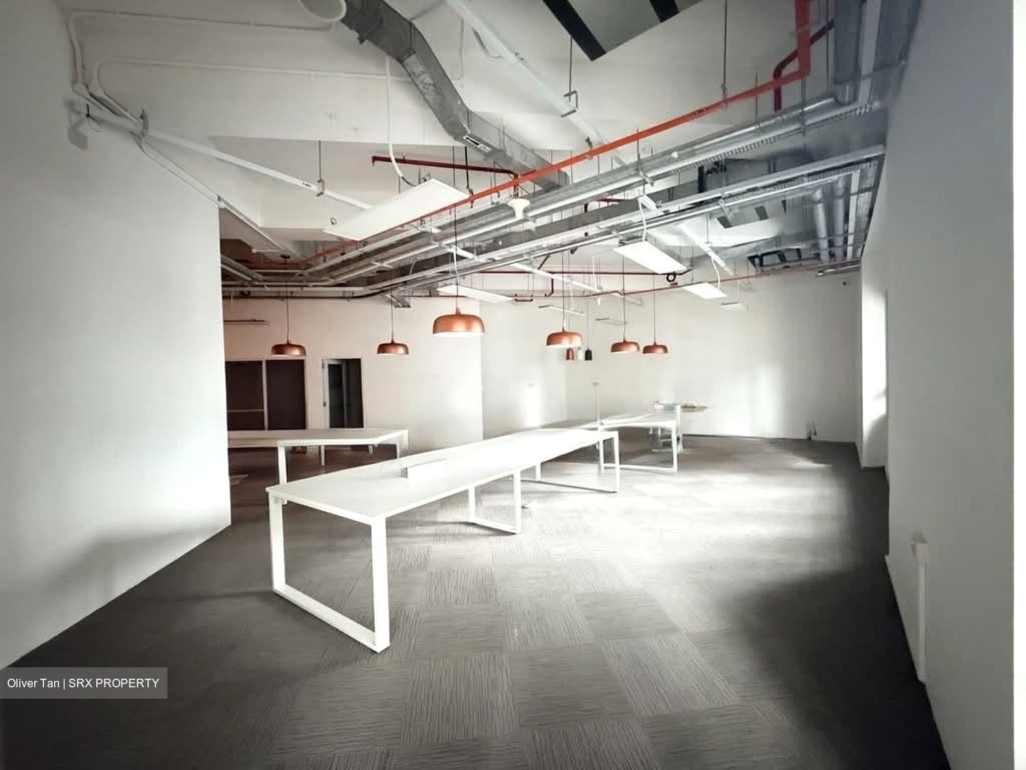 PLUS (D1), Office #540855821